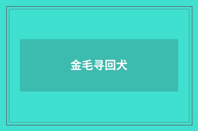 金毛寻回犬