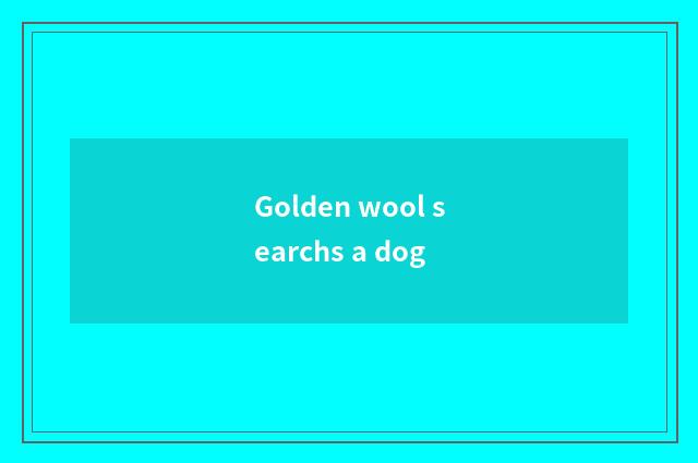 Golden wool searchs a dog