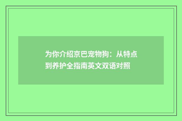 为你介绍京巴宠物狗：从特点到养护全指南英文双语对照