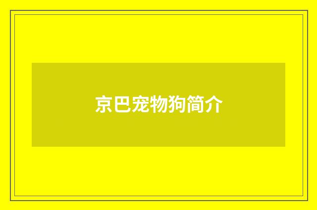 京巴宠物狗简介