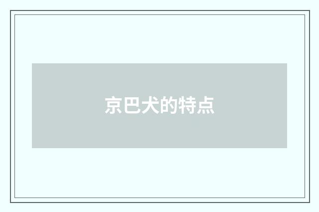 京巴犬的特点