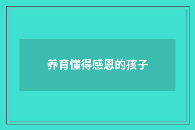 养育懂得感恩的孩子