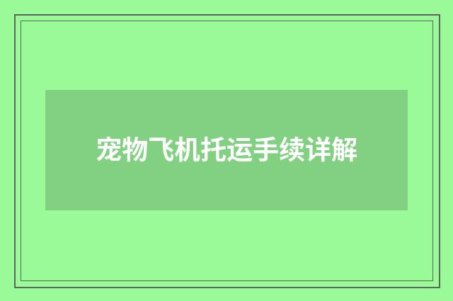 宠物飞机托运手续详解