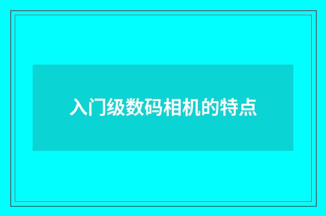 入门级数码相机的特点