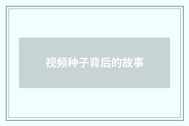 视频种子背后的故事