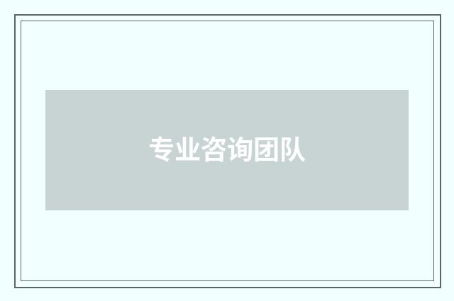 专业咨询团队