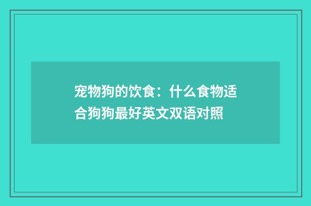 宠物狗的饮食：什么食物适合狗狗最好英文双语对照