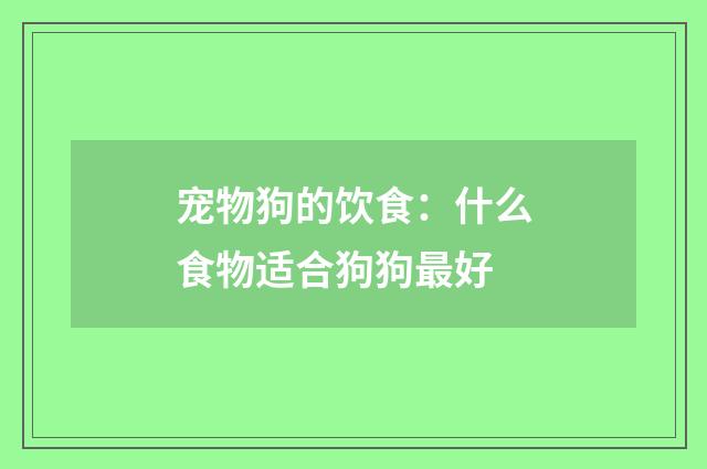 宠物狗的饮食：什么食物适合狗狗最好