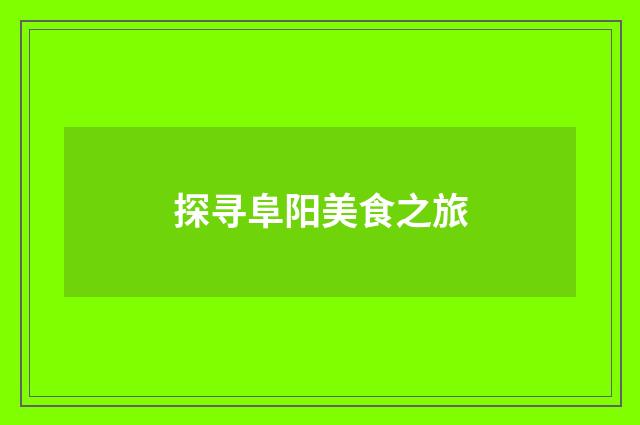 探寻阜阳美食之旅