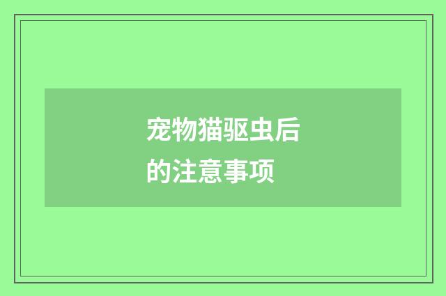 宠物猫驱虫后的注意事项