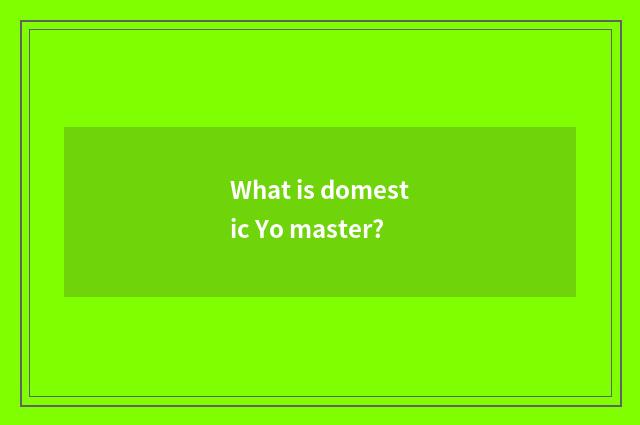 What is domestic Yo master?