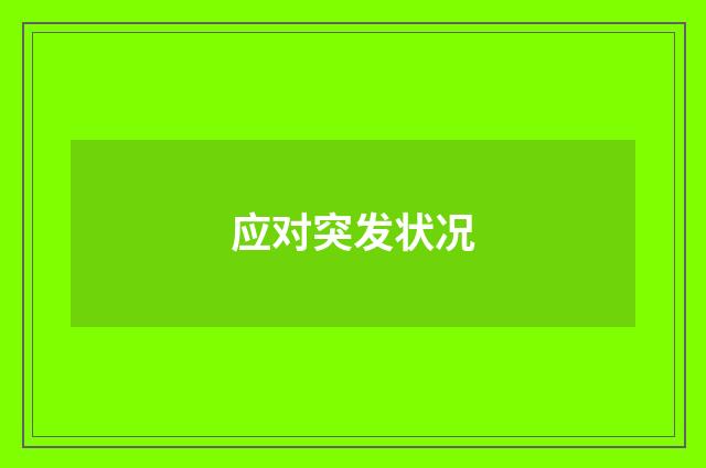 应对突发状况