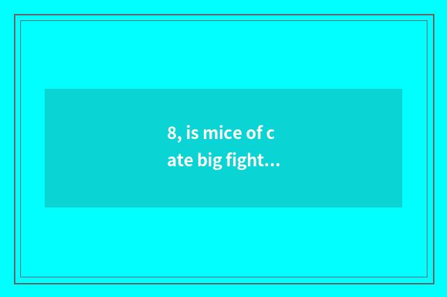 8, is mice of cate big fight amused?