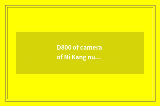 D800 of camera of Ni Kang number operates a guideline completely