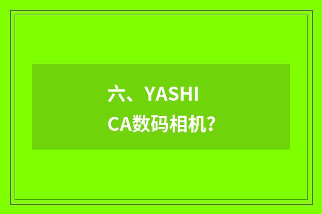 六、YASHICA数码相机？