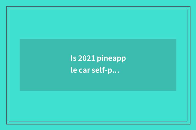 Is 2021 pineapple car self-prossessed?