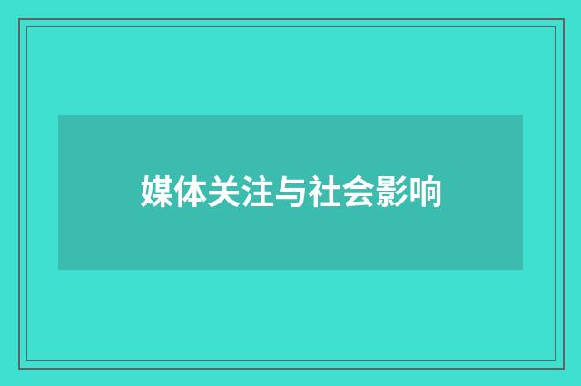 媒体关注与社会影响