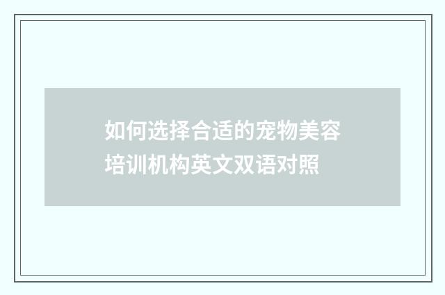 如何选择合适的宠物美容培训机构英文双语对照