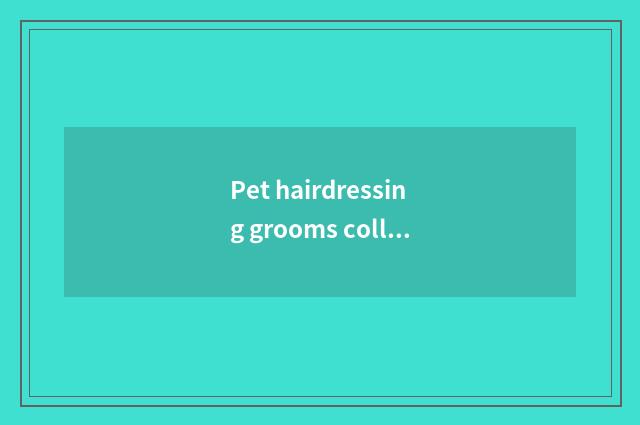 Pet hairdressing grooms collect fees problem