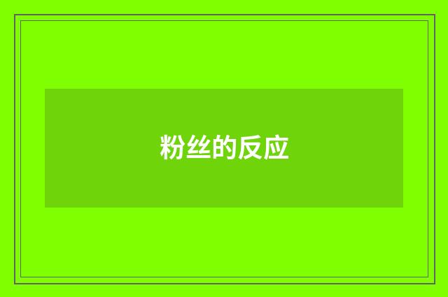 粉丝的反应