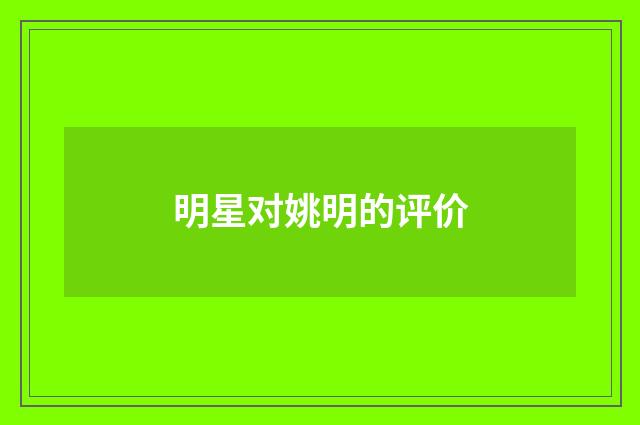明星对姚明的评价