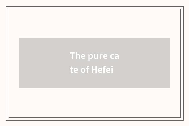 The pure cate of Hefei