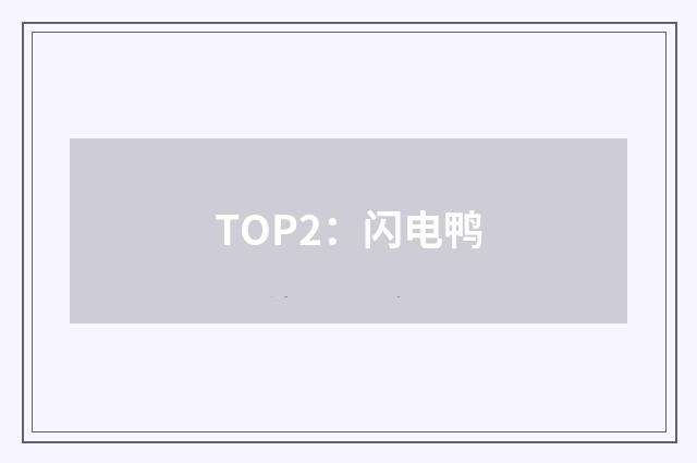 TOP2：闪电鸭