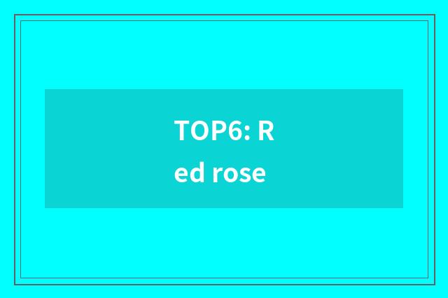 TOP6: Red rose