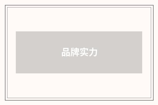 品牌实力