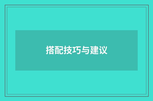 搭配技巧与建议