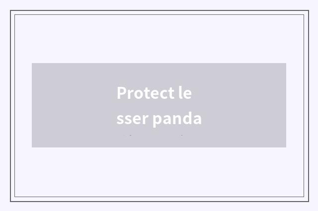 Protect lesser panda