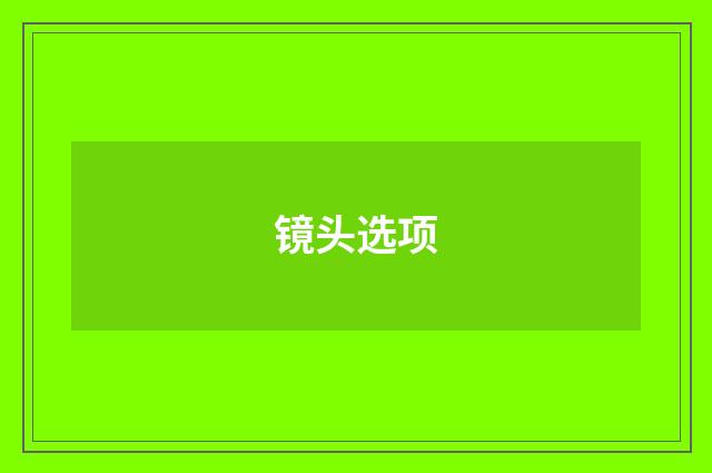 镜头选项