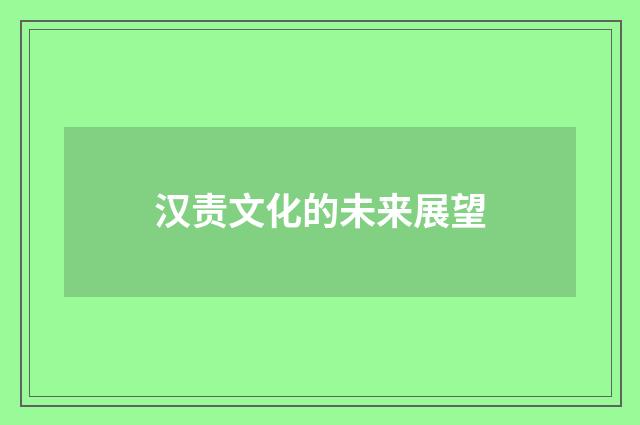 汉责文化的未来展望