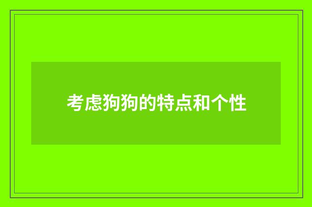 考虑狗狗的特点和个性