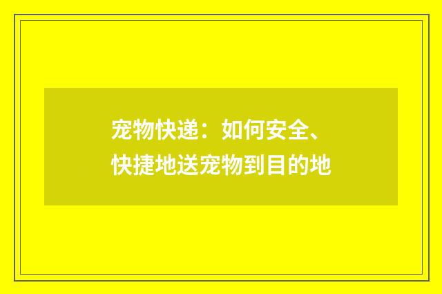 宠物快递：如何安全、快捷地送宠物到目的地