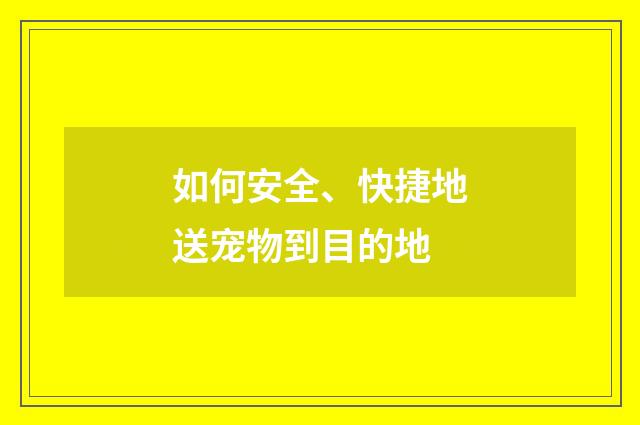 如何安全、快捷地送宠物到目的地