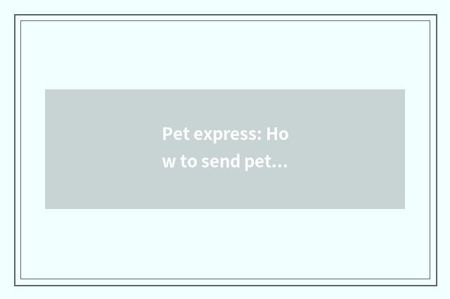 Pet express: How to send pet safely, quickly to destination
