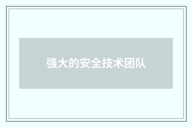 强大的安全技术团队