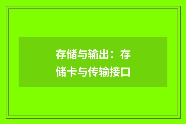 存储与输出：存储卡与传输接口