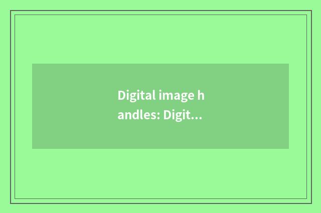 Digital image handles: Digital signal processor