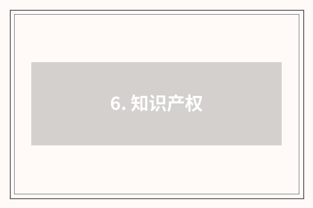 6. 知识产权