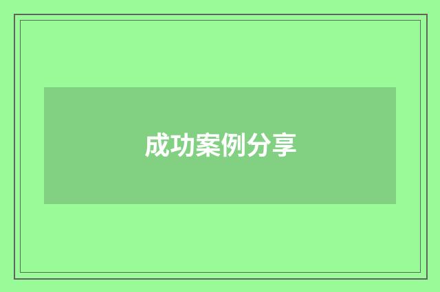 成功案例分享
