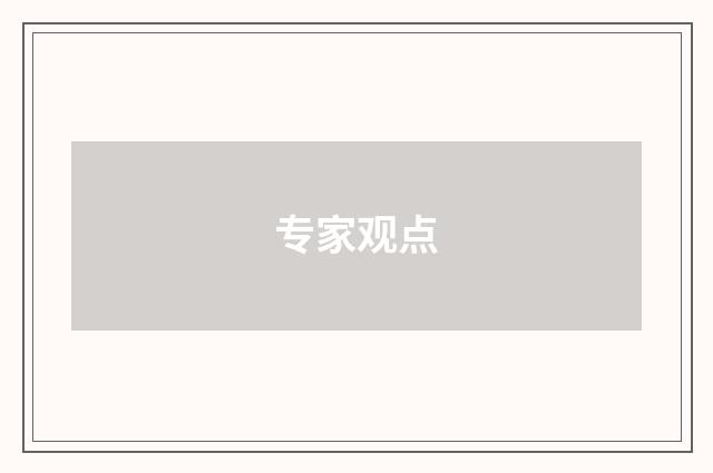 专家观点