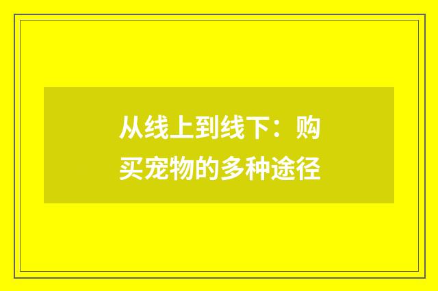 从线上到线下：购买宠物的多种途径