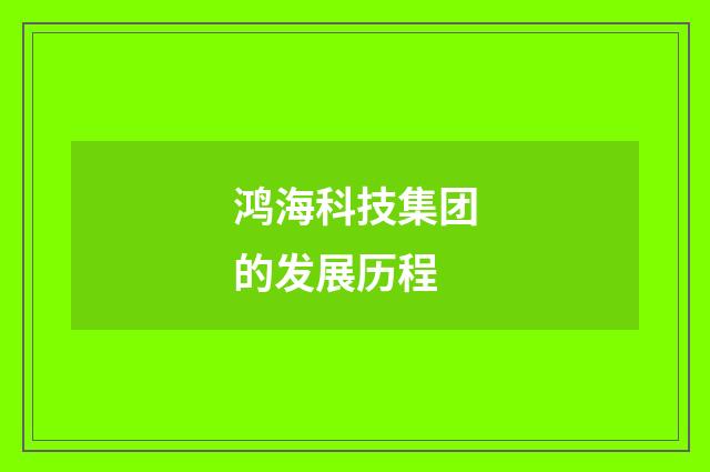 鸿海科技集团的发展历程