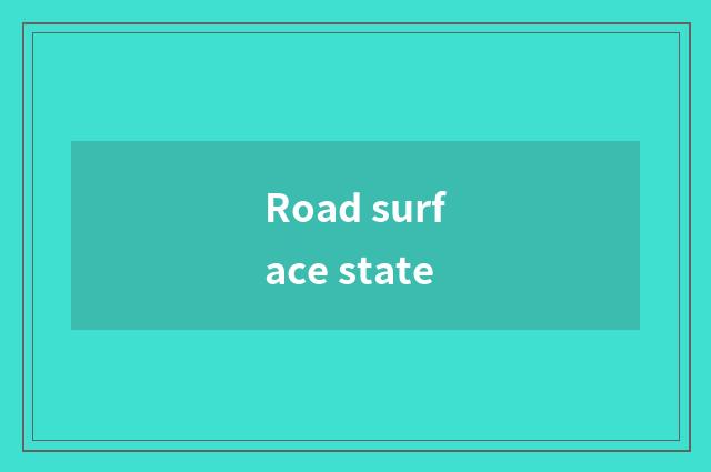 Road surface state
