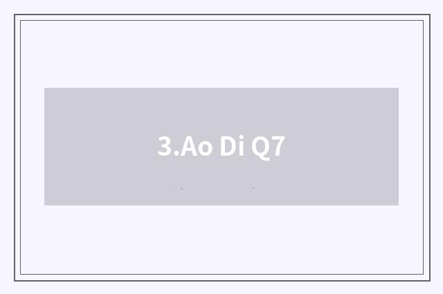 3.Ao Di Q7