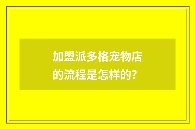 加盟派多格宠物店的流程是怎样的？