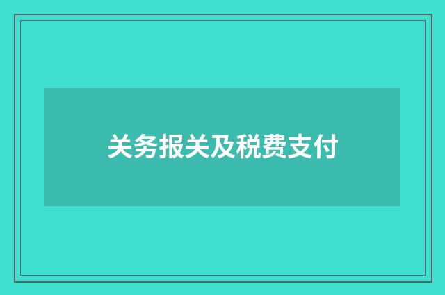 关务报关及税费支付