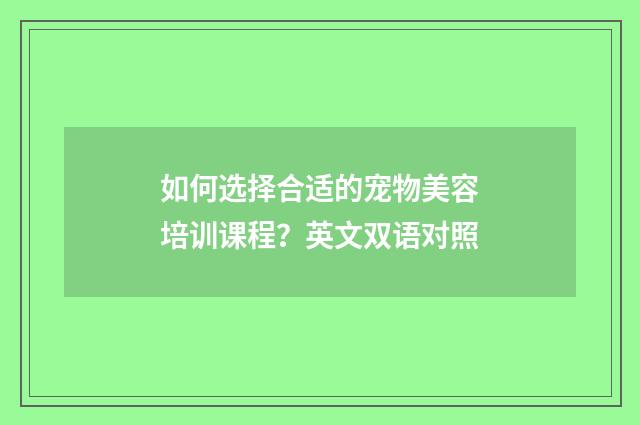 如何选择合适的宠物美容培训课程?英文双语对照